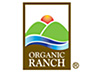 assi logo